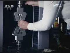 MTS试验机记录自然传奇,见证动物世界的超级能力